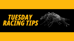 Image for Timeform's Tuesday racing column with three tips 